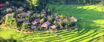 pu-luong-green-ricefields